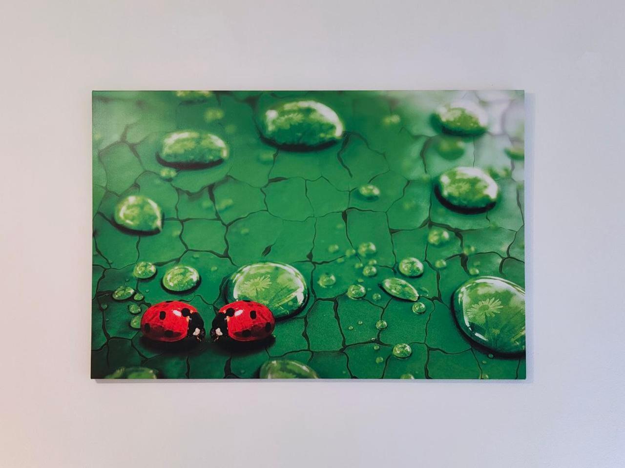 La Coccinella Di Susa 페르지네 발수가나 외부 사진